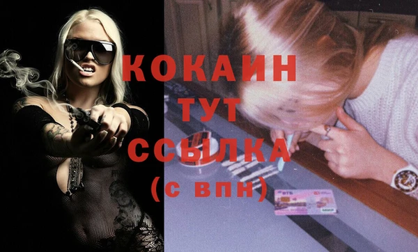 шишки Дубна